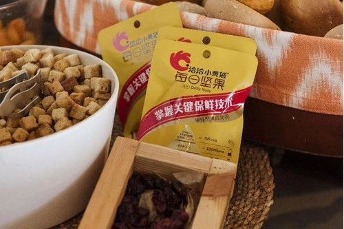 洽洽食品亮相第42屆inc國際堅果和干果大會,獲可持續發展大獎